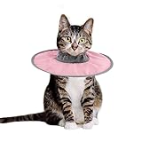 Collar de Recuperación para Gatos, Ajustable Collar Protector para Gatos Impermeable...
